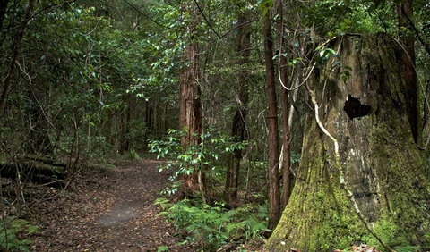 Jerusalem Creek Trail - Accommodation Fremantle 1