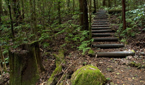 Jerusalem Creek Trail - Accommodation Fremantle 2