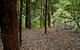 Jerusalem Creek Trail - thumb 3