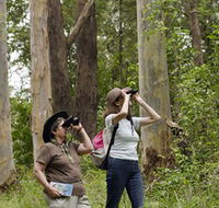 Chichester State Forest - Accommodation Fremantle