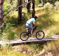 The Steps Mountain Bike Park - Accommodation Fremantle
