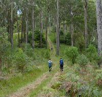 The Green Gully track - Accommodation Fremantle