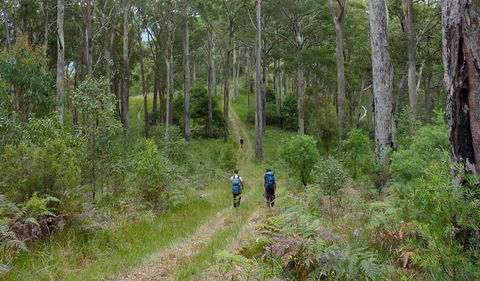 The Green Gully Track - Accommodation Fremantle 0