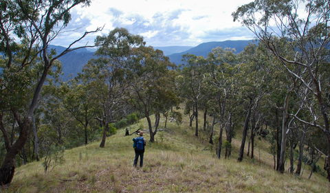 The Green Gully Track - Accommodation Fremantle 1