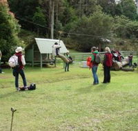 Forest of Tranquillity - Australian Rainforest Sanctuary - Accommodation Fremantle