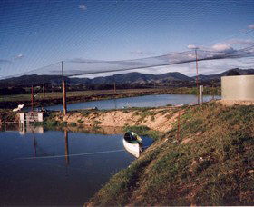 Trudgalong Farm - Accommodation Fremantle 1