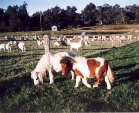 Trudgalong Farm - Accommodation Fremantle 0