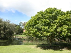 Hervey Bay Botanic Gardens - Accommodation Fremantle 0