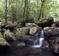 Kangaroo River - Accommodation Fremantle