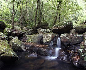 Kangaroo River - Accommodation Fremantle 0