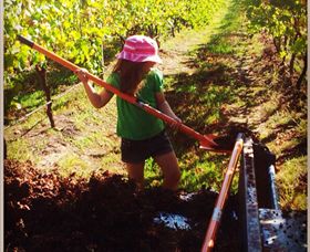 East Gippsland Wines - Accommodation Fremantle 5