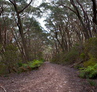 Budawang National Park - Accommodation Fremantle