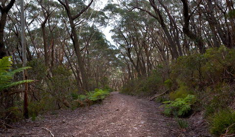 Budawang National Park - Accommodation Fremantle 0