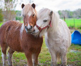 Amazement Farm And Fun Park / Cafe And Farmstay Accommodation - Accommodation Fremantle 5