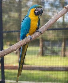 Amazement Farm And Fun Park / Cafe And Farmstay Accommodation - Accommodation Fremantle 8