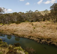 Werrikimbe National Park - Accommodation Fremantle