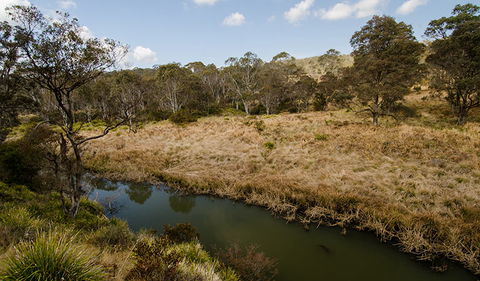 Werrikimbe National Park - Accommodation Fremantle 0