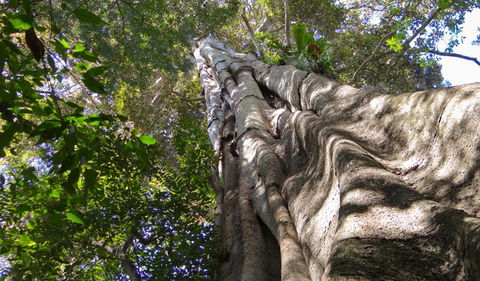 Moore Park Nature Reserve - Accommodation Fremantle 1