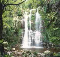 Budderoo National Park - The Falls Walk - Accommodation Fremantle