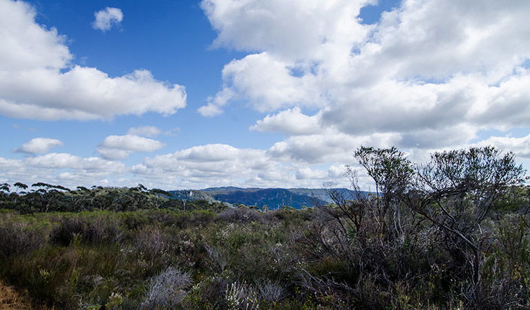 Barren Grounds NSW Accommodation Fremantle