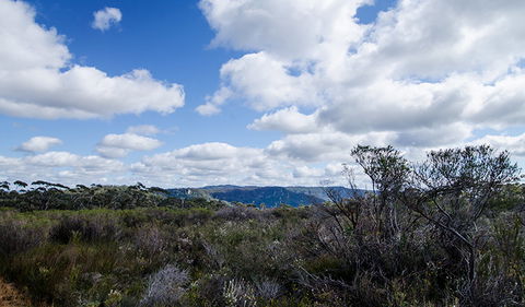 Barren Grounds Nature Reserve - Accommodation Fremantle 0