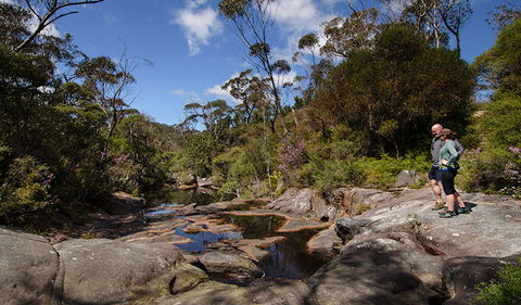 Barren Grounds Nature Reserve - Accommodation Fremantle 1