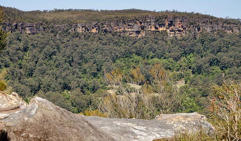 Barren Grounds Nature Reserve - Accommodation Fremantle 3
