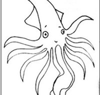 Squid Studio - Accommodation Fremantle