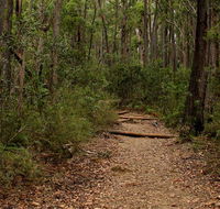 Pigeon House Mountain Didthul walking track - Accommodation Fremantle