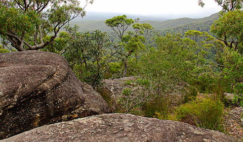 Pigeon House Mountain Didthul Walking Track - Accommodation Fremantle 1