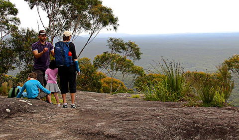Pigeon House Mountain Didthul Walking Track - Accommodation Fremantle 2