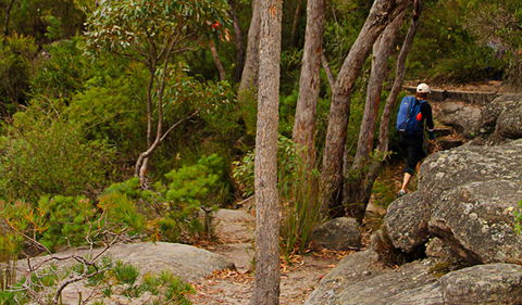 Pigeon House Mountain Didthul Walking Track - Accommodation Fremantle 3