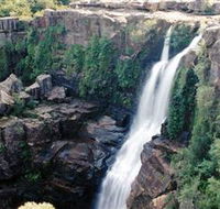 Minnamurra Rainforest Centre Budderoo National Park - Accommodation Fremantle
