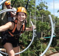 Wild Ropes at Taronga Zoo - Accommodation Fremantle