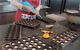 The Sydney Chocolate School - thumb 3