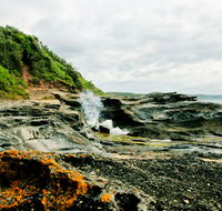 Glenrock State Conservation Area - Accommodation Fremantle