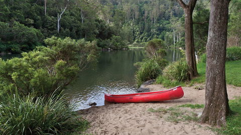 Nymboi-Binderay National Park - Accommodation Fremantle 1