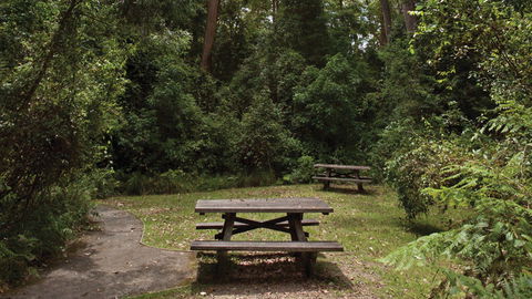 Nymboi-Binderay National Park - Accommodation Fremantle 3