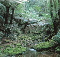 The Corn Trail Walk - Accommodation Fremantle