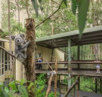 Daisy Hill Koala Centre - Accommodation Fremantle