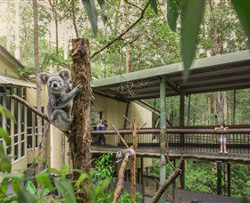 Daisy Hill Koala Centre - Accommodation Fremantle 0
