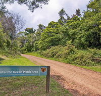Antarctic Beech picnic area - Accommodation Fremantle