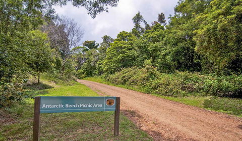 Antarctic Beech Picnic Area - Accommodation Fremantle 0