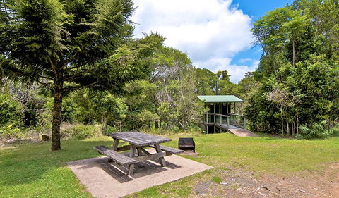 Antarctic Beech Picnic Area - Accommodation Fremantle 1