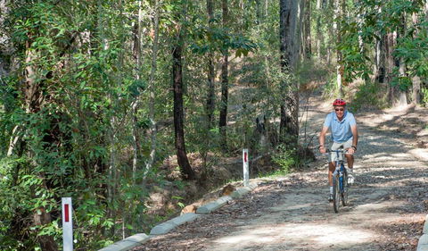 Monument Beach Ride From Bendalong - Accommodation Fremantle 2