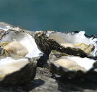 Jim Wilds Oyster Service - Accommodation Fremantle