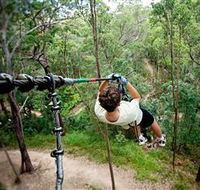 TreeTop Challenge - Accommodation Fremantle
