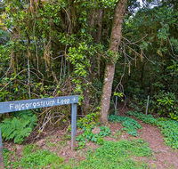 Falcorostrum loop walking track - Accommodation Fremantle