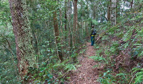 Blackbutt Walking Track - Accommodation Fremantle 0