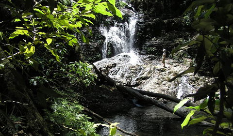 Blackbutt Walking Track - Accommodation Fremantle 2